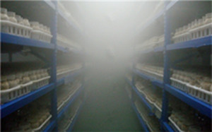 江苏盐城食用菌雾化加湿工程