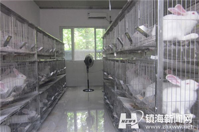 畜禽养殖场喷雾消毒哪家好