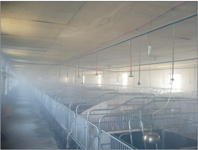 养猪场喷雾消毒设备