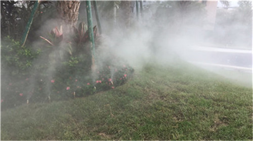 东佳强冷雾喷雾降温造景一站式服务商