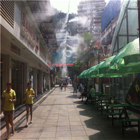 安徽滁州全椒奥康商业中心步行街喷雾降温工程