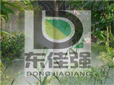 深圳景观人造雾人造雾机人造雾园林特点