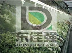  大棚蔬菜自动浇水喷淋喷灌设备