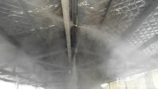 浙江养殖场喷雾消毒设备