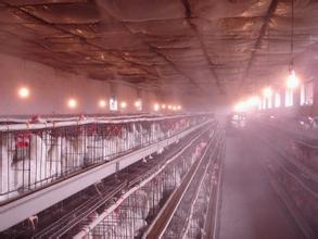 家禽市场智能环保喷雾杀菌消毒设备