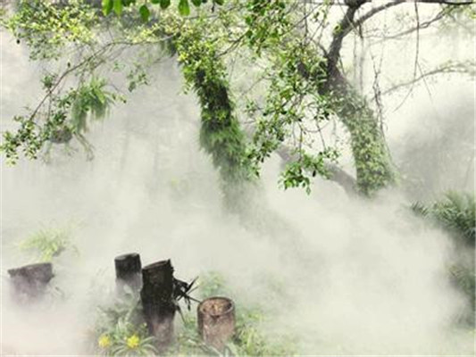 湛江市度假酒店绿化带人工造雾设备工程厂家承接