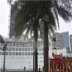 深圳海上世界绿化带人行道人造雾景观工程案例